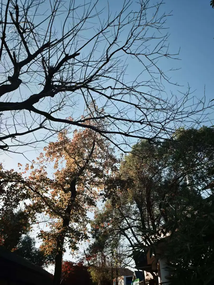 微信图片_20251204001243_131_201 微信图片_20251204001243_131_201